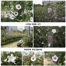 서울꽃식물원 이미지