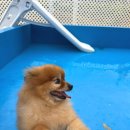 행복한마당 | 아이+강아지와 함께하는 세종시 나들이 🐾 예쁜컨테이너가있는마당