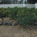 감치농장 이미지