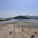 바다양푼이동태탕(강화읍점) 이미지