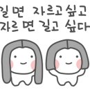 아랑미용실 - 연천군 | 아랑미용실