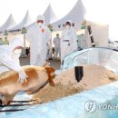 북구종합운동장 제2축구장 이미지