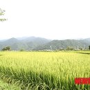 산촌버섯마을 이미지