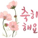 컴퓨레이터 이미지