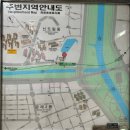 신호묘 | 서울 벚꽃 구경 장소 추천 도림천역 벚꽃 포토존 방문 후기