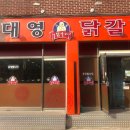대영닭갈비 이미지