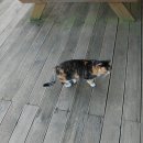 영목항수변공원 이미지