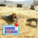 보리사랑 이미지
