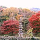 사점세월교 | 백 양 사 소 개 (빠른시일내에 사진과 함께 )