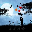사랑문구 이미지