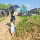 꿀뱀이 | 김포 아이랑 갈만한 곳! 곤충체험 농장 '꿈꾸는 파브르' 가격, 프로그램 꿀정보