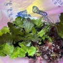 화원농장4 이미지