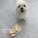 시드씨(주) | (밀린) 5월 일상 일기