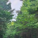 신도시충전소세차장 이미지