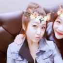 알라붕 이미지