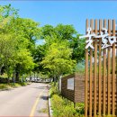소백산명품마을협동조합 | “400년 흙돌담길” 대구 옻골마을 입장료 위치 주차정보 총정리