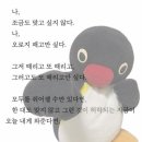 도도성형외과 - 동대문구 천호대로 425 | 쌍수 자연유착 재재수술 일주일차 경과, 상담후기 (신사 성형외과)
