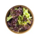 전라남도 농업기술원 과수연구소 | 잠잘오는차 궁금하다면 인스 단잠톡 검색해보는것도