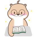 베릴키키 이미지