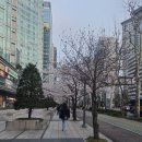[내돈내산] 여의도 쿠마 방문후기