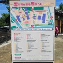 토토리상점 | 강릉 빵축제 빵터지는 강릉 빵 페스타 방문후기 주차 프로그램 총정리