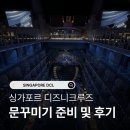 포토샵으로 내 사진 꾸미기 | [싱가포르]디즈니크루즈 문꾸미기 준비 및 후기, 꿀팁