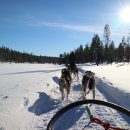 핀란드 라플란드에서 오로라와 스노우모빌 여행 1 - 사리셀카(Saariselkä) 이미지