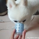 성대 세탁 이미지