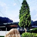 맑은산장농원 이미지