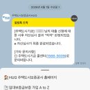 청년아닌 허그 일반버팀목전세대출 후기 눈물의 타임라인, 해촉증명서? 2편