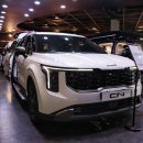 카니발 | 하이리무진 말고 이건 어때? CN 모터스 CL9 로우 카니발 실물 후기