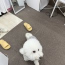 장유스포츠센터 건너편 | [경남/김해] 오후뷰티 속눈썹펌&amp;속눈썹연장 / 속눈썹펌 종착지 / 내 동년배들 다 여기서 속펌 받는다 …