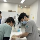 석 동물병원 이미지