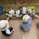 김포목장 이미지