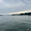 가경주항 | "9월 쭈꾸미 금어기 해제! 서해 워킹 낚시 첫 탐사 후기"