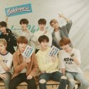 골드니스 이미지