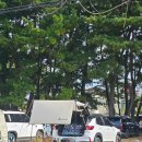 궁평항로 | 서울 근교 캠핑 차박 차크닉 궁평펜션리조트 내돈내산 후기