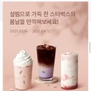 체리블라썸 이미지