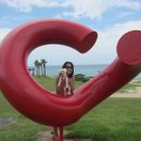 [제주도]함덕서우봉&amp;신풍목장&amp;표선해비치&amp;위미동백나무&amp;따라비오름 이미지