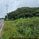 금노마을 이미지