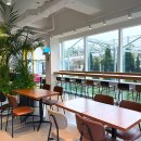 레인보우312