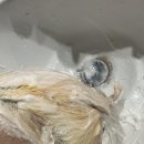 장원약품 이미지