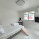 바비애견풀빌라 이미지