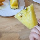 맛있는 동화요리 | 김해 맛집 중국집 런치 코스요리 점심특선 동백