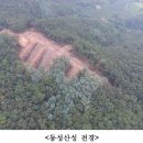 동성산성 이미지