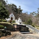 미리내꽃 | 안성 미리내성지 봄꽃 명소 후기｜벚꽃 개화시기와 아이와 자연체험까지