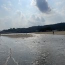 보성아구찜 이미지