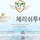 체리쉬투어 - 은평구 통일로75길 8 | 체리쉬투어