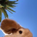 밤실마을 이미지