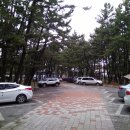 몽산포할인마트 이미지